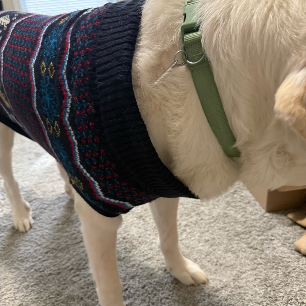 Cozy Knit Dog Sweater - Multicolor